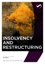 SCHINDHELM_BF_2026-02_EN_Insolvency-and-Restructuring.pdf
